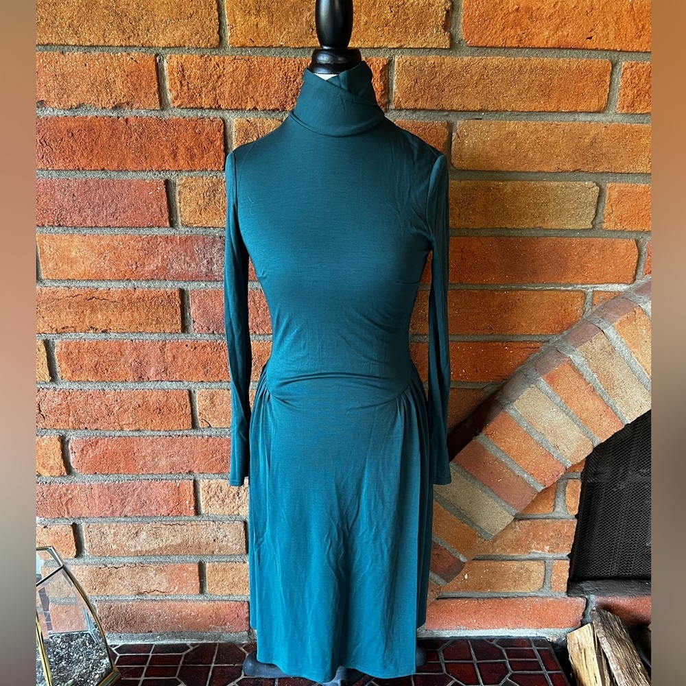 Andrea Raicu - NWOT - turtle neck midi dress